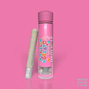 Bubblegum Gelato Hash Hole Preroll 1.8 Grams by Traditional